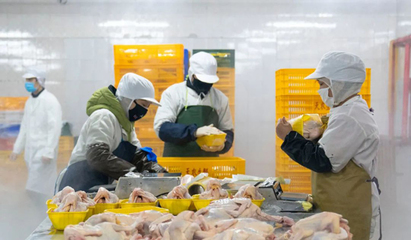 液氮速凍機助力預制菜行業還原度問題