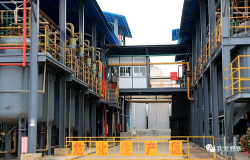 年銷售額超10億元 這家鹿寨企業沖刺上市