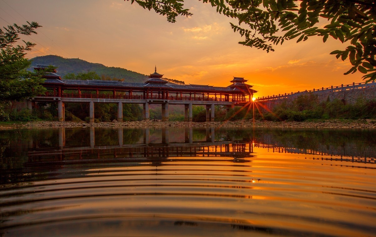 茶旅世界·十大魅力茶鄉參評丨廣西壯族自治區百色市西林縣